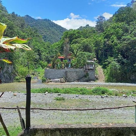 Conrado'S Guesthouse B&B Las Avispas Luaran gambar