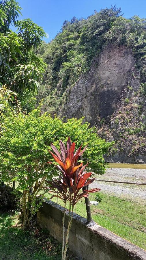 Conrado'S Guesthouse B&B Las Avispas Luaran gambar